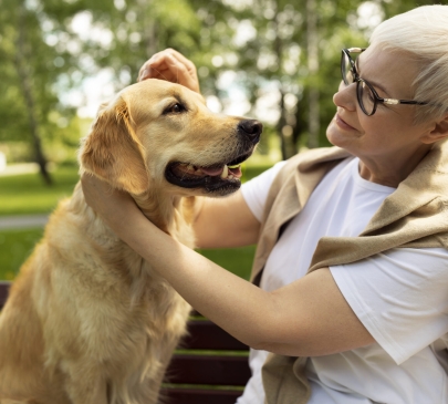 Quelle Race de Chien Choisir pour les séniors : Guide Complet